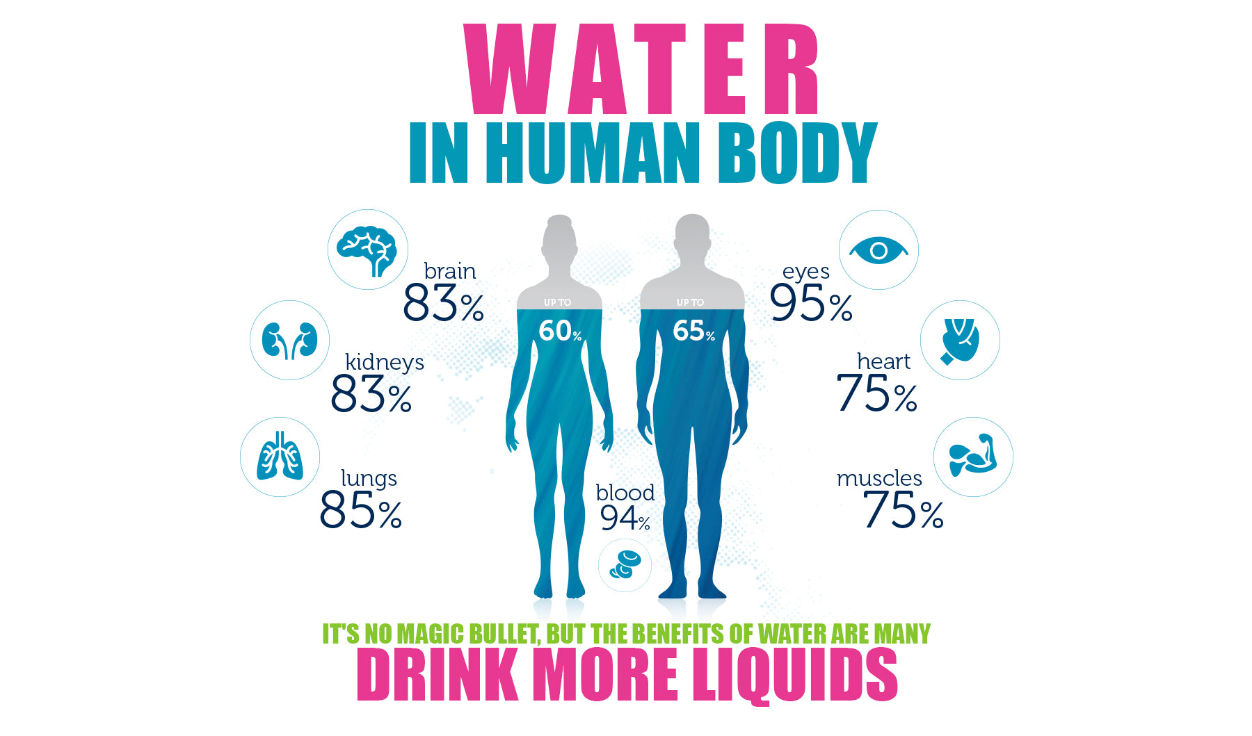 6 Reasons to Drink more Liquids