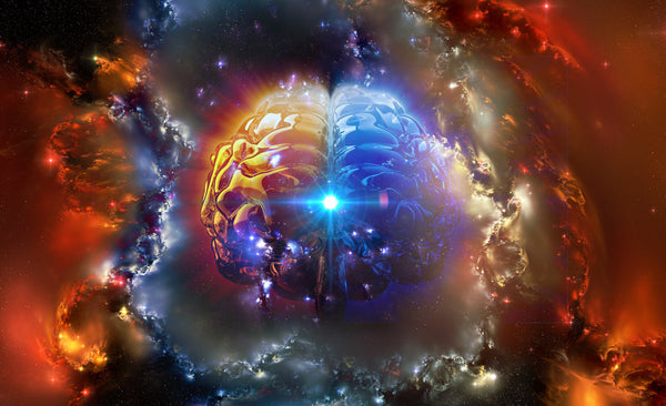 What is The Pineal Gland and How to Keep Yours Healthy